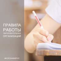 Как будут работать школы и детсады?
